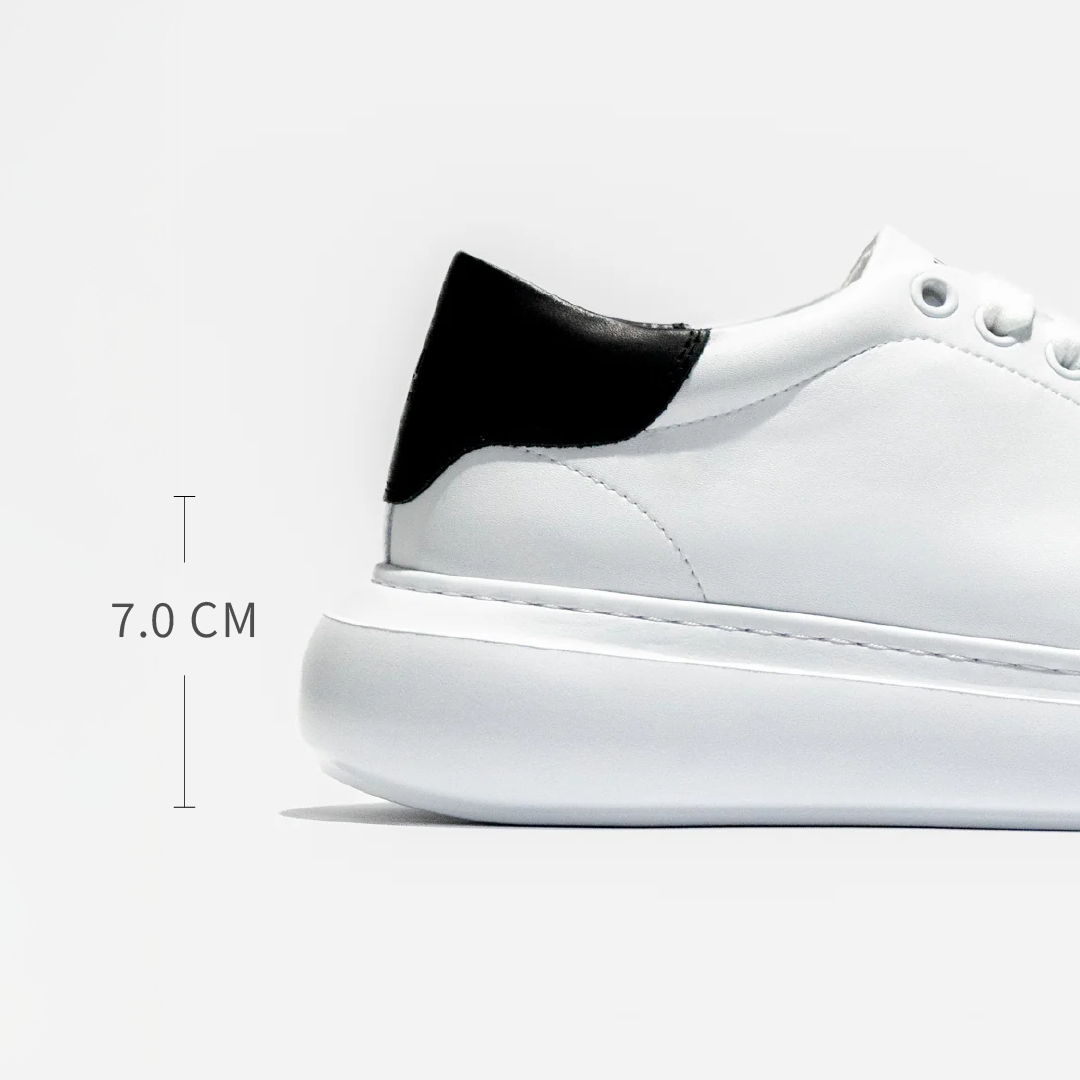 LUCENT｜WHITE &amp; BLACK